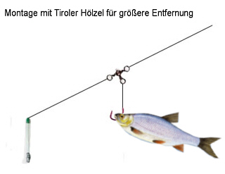 koederfischmontage für weitere Entfernungen